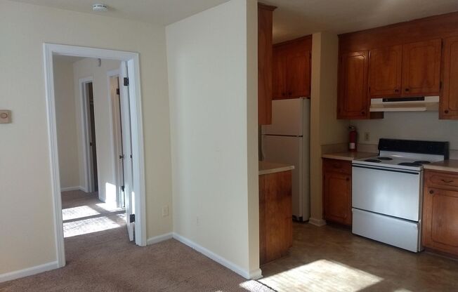 1 bed, 1 bath, $900, Unit 8