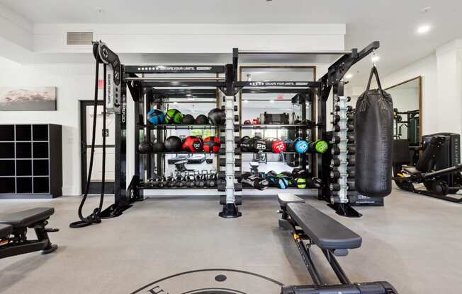 Fitness Center with weights and a punching bag