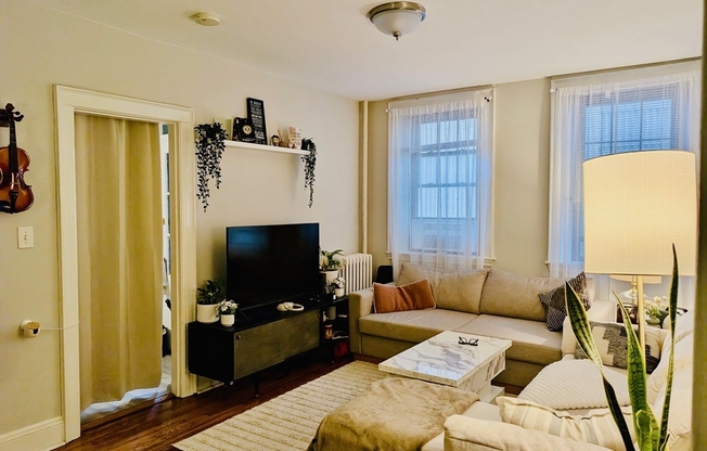 249 Chestnut Hill Ave