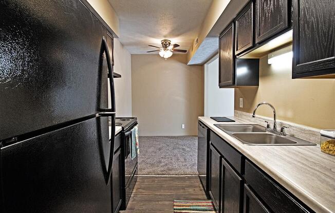 a kitchen with a black refrigerator and a sink