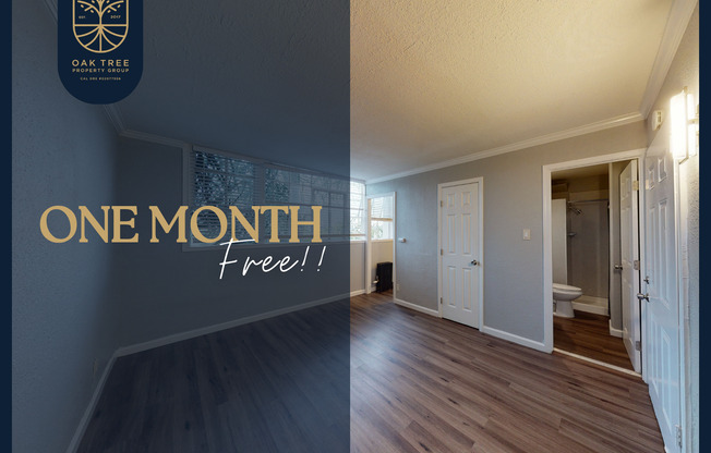 Studio, 1 bath, 264 sqft, $1,495, Unit #213