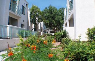 1 bed, 1 bath, $1,250, Unit UNIT 2082