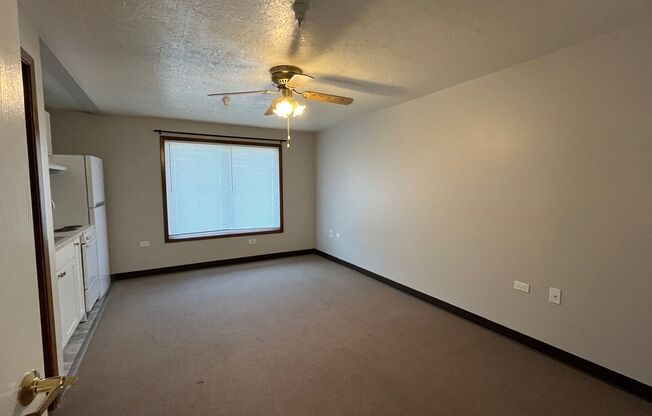 Studio, 1 bath, 263 sqft, $700, Unit 101