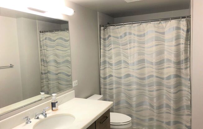 1 bed, 1 bath, $2,900