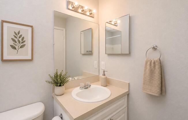 A well-lit bathroom featuring a light fixture above a mirror, a small potted plant on the counter, and a towel hanging on a ring. The sink area is minimalist with neutral tones, and a framed leaf print is displayed on the wall next to the mirror.