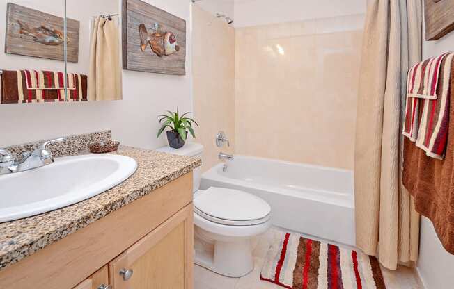 Model bathroom