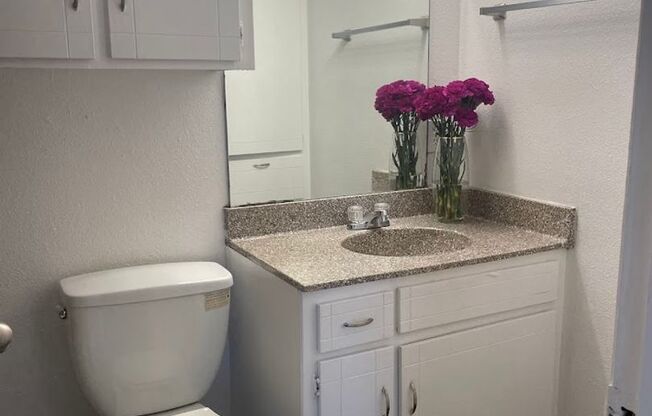 1 bed, 1 bath, 419 sqft, $1,100, Unit 224