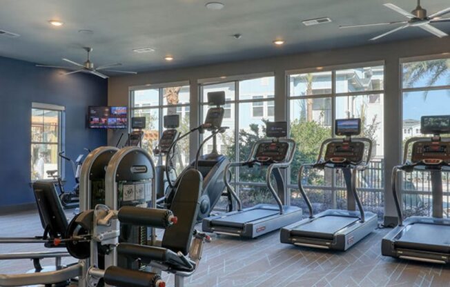 The Ridley apartments in Jacksonville, FL photo of fitness center
