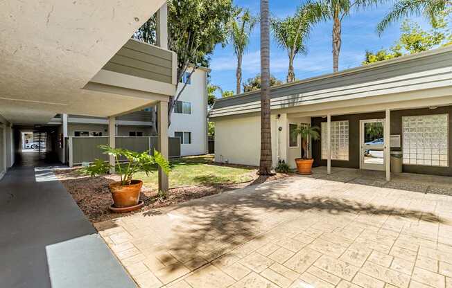 A modern house with a driveway and a palm tree.