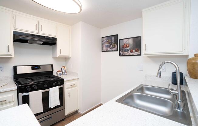 Modern kitchen featuring light-colored cabinetry, a gas stove, and a stainless steel sink. The countertop is made of a light-colored material, and there are two framed pictures on the wall depicting fruit still lifes. A circular ceiling light provides illumination in the space.