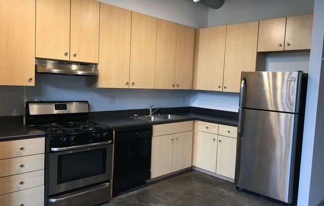 Studio, 1 bath, 700 sqft, $1,535, Unit A-203