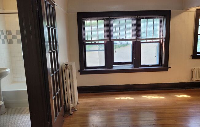 Studio, 1 bath, $795, Unit 207