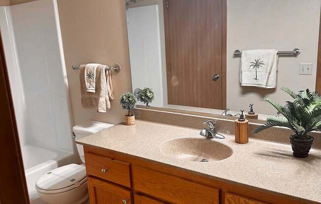 A bathroom with a toilet, sink, and mirror.