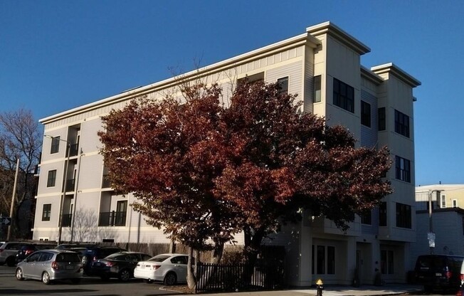 2 beds, 2 baths, 1,036 sqft, $3,900, Unit 4