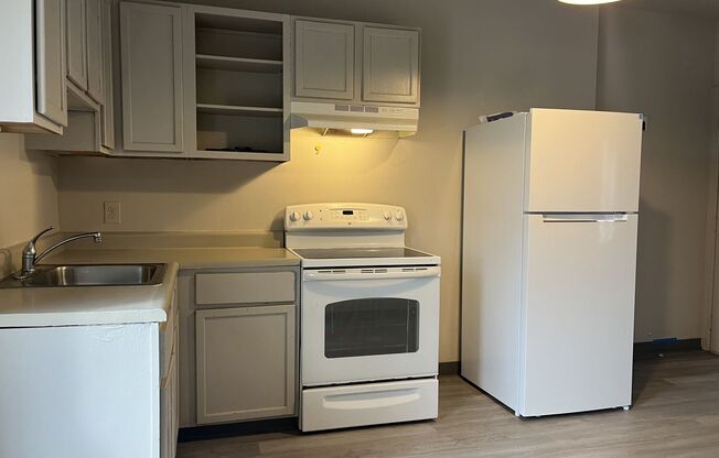 311-313 N. 5th Ave.