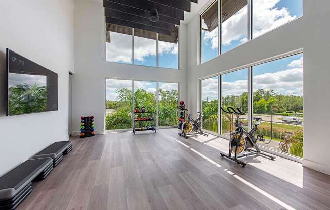 Virtual training center and yoga center