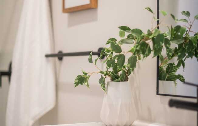 a bathroom with a white sink and a plant in a white vase at The 22 Apartments, St. Louis