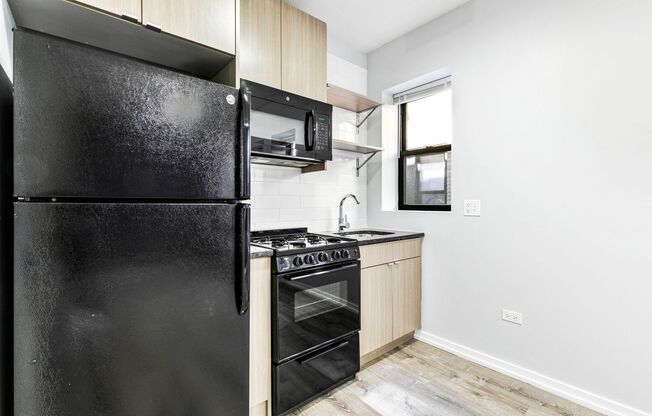 Studio, 1 bath, 219 sqft, $1,325, Unit 217