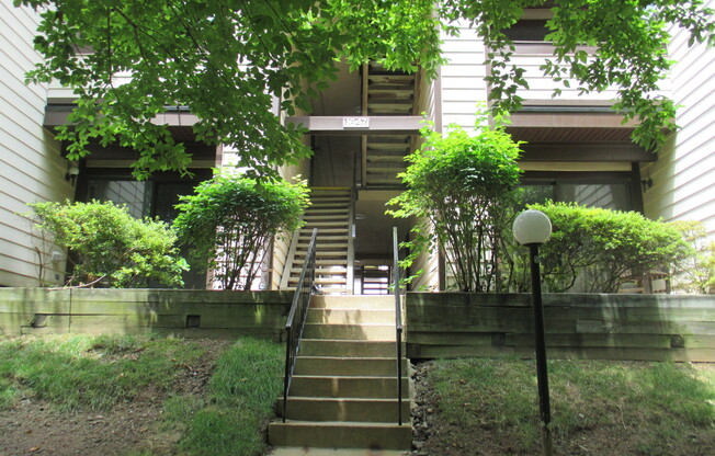 Updated 1BR Second Floor Condo in Silver Spring!