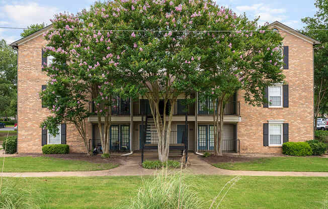 Lush Greenery in Front of a building at The DeSoto