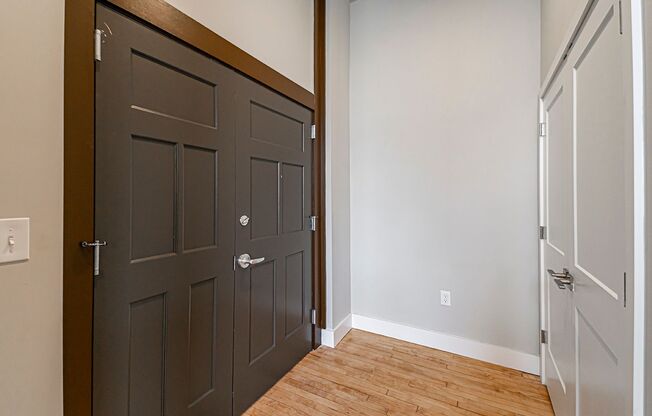 Studio, 1 bath, 388 sqft, $1,241, Unit 100