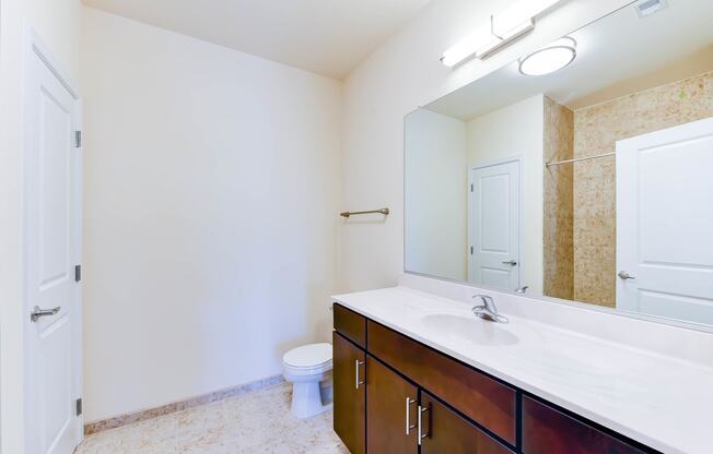 bathroom with vanity, toilet, tub and large mirror at archer park apartments in washington dc