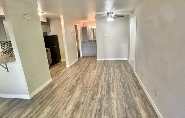 Studio, 1 bath, 365 sqft, $1,025