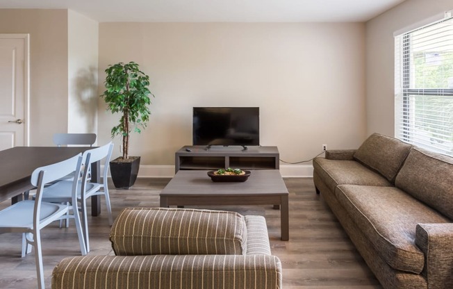 Living room at halcyon Apartments