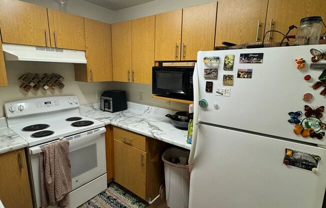 2nd Floor Furnished Condo @ The Lodge!