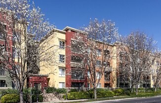 Waterford Place Apartments in Dublin