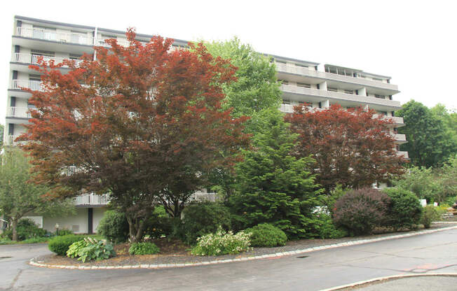 the view of an apartment building from the street at Renew Worcester, Worcester, MA