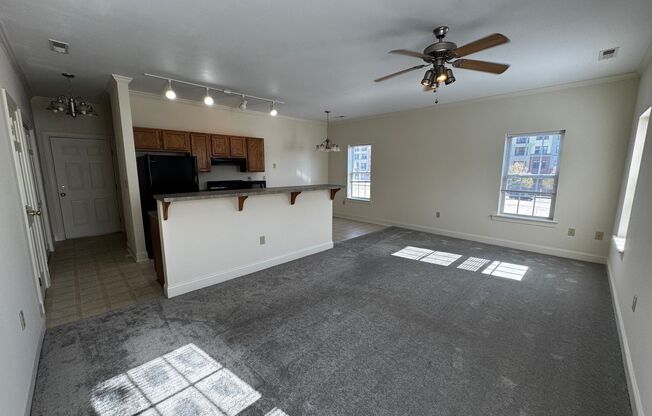 Available now! Spacious 2BR/2BA Apartment in Downtown Raleigh