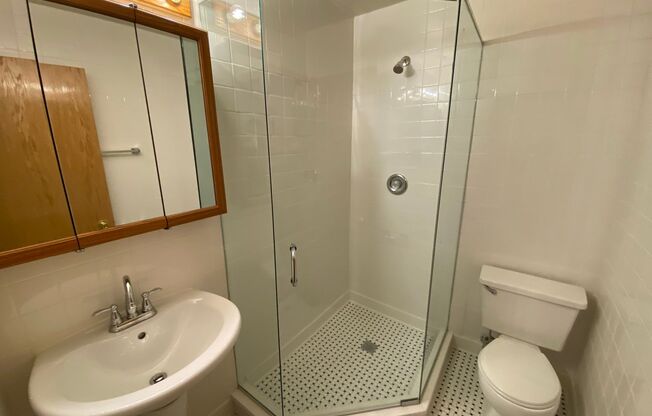 Studio, 1 bath, 300 sqft, $1,525, Unit 620-210