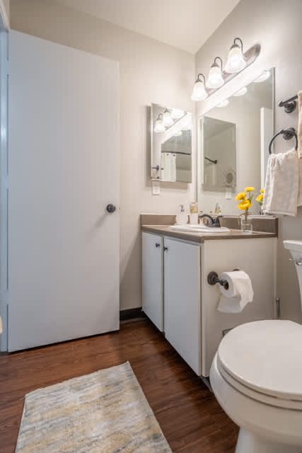 A white toilet sits next to a sink in a small bathroom.
