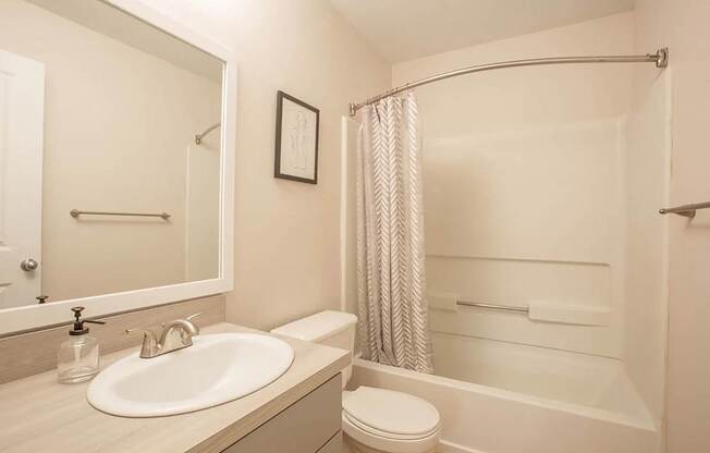 bathroom with a sink and a toilet and a shower