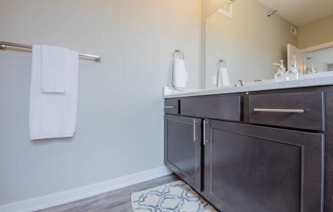 a bathroom with a sink and a mirror and a towel rack