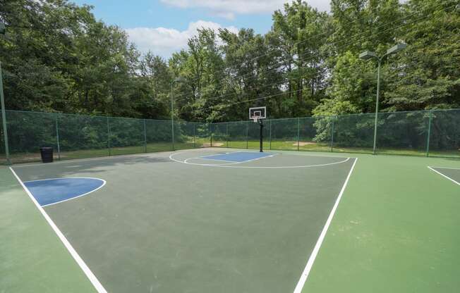 View of basketball court with woods in the background