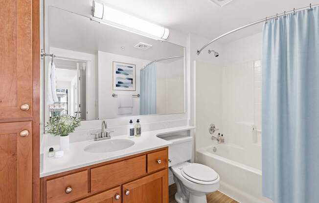 A bathroom with a white toilet, a sink with a mirror above it, and a shower with a blue curtain.