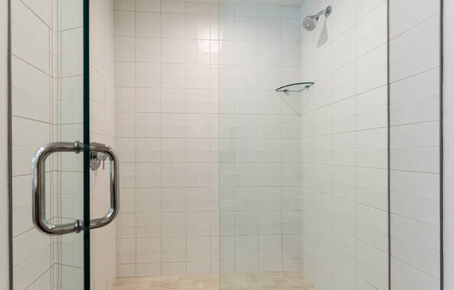 Walk-In Shower