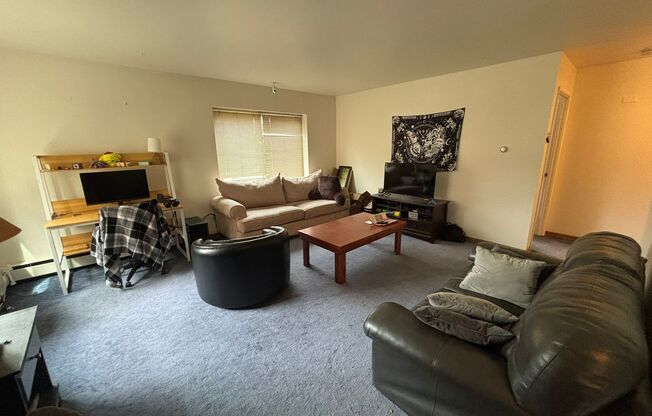 1 bed, 1 bath, 590 sqft, $1,325