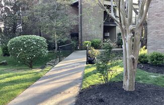 Belle Meade Condo for Rent!