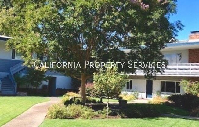1101 Noel Drive