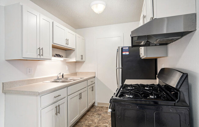 upgraded kitchen with gas stove at Apple Ridge Apartments, Michigan, 49534