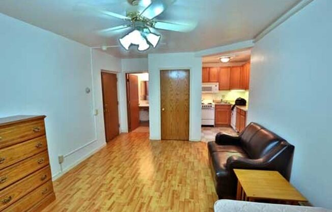 Studio, 1 bath, 370 sqft, $1,060