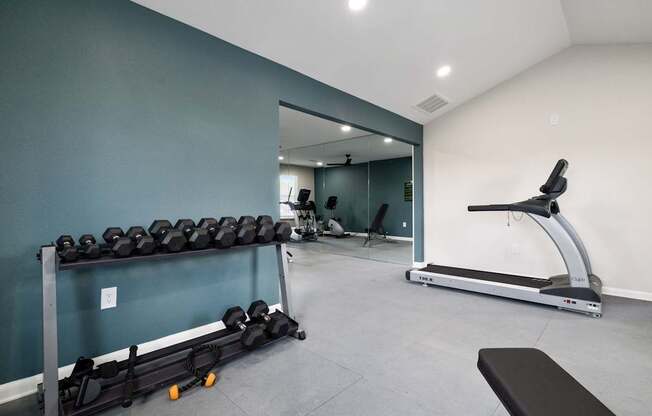 A gym with a treadmill, weights, and a mirror.