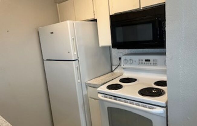 1 bed, 1 bath, 650 sqft, $1,300, Unit 203