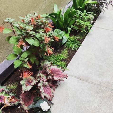 2 beds, 1 bath, 870 sqft, $2,000, Unit 202