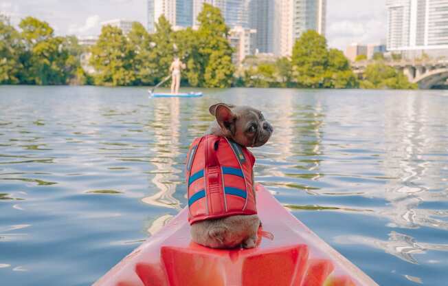 a dog wearing a life jacket sitting in a kayak on a lake