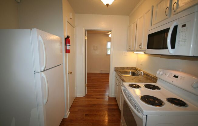 1 bed, 1 bath, 388 sqft, $995, Unit 02