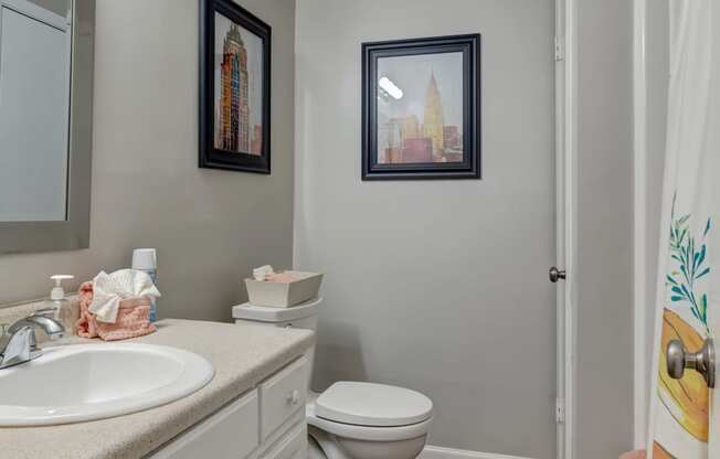 a bathroom with a toilet and a sink and a mirror